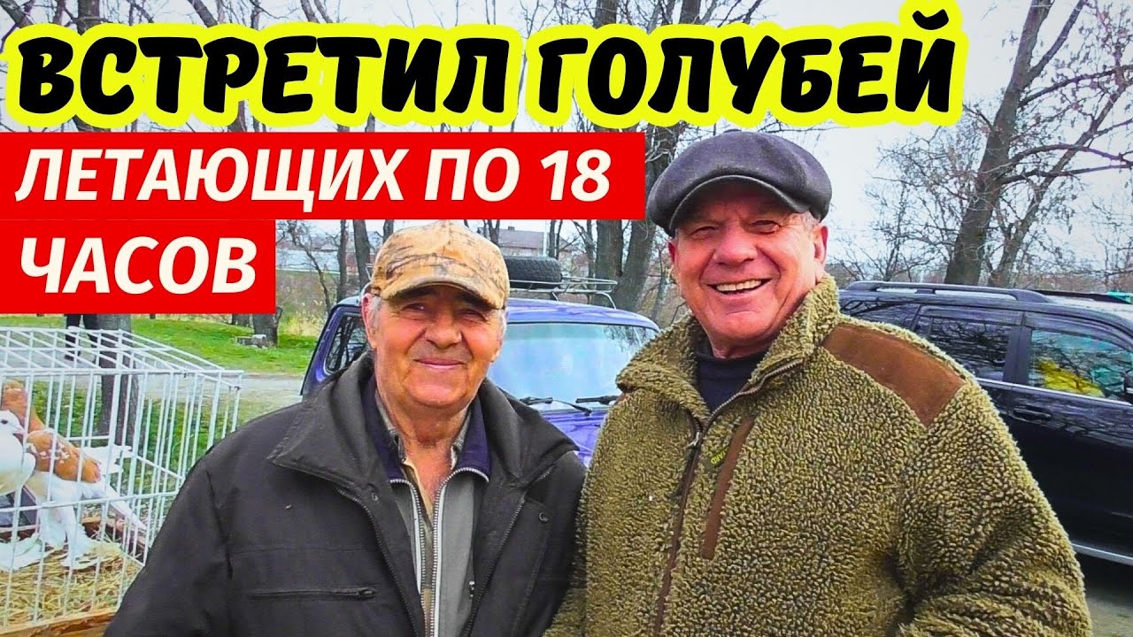 ЯРМАРКА ГОЛУБЕЙ Обзор г.Павлоград 22.03.2025 Цены💲 Продажа📞 Голуби ▶ 1-я часть