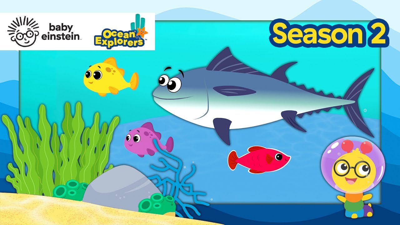 Let's Explore: Sizes with Tuna! | Ocean Explorers Season 2 | Baby Einstein | Education Show
