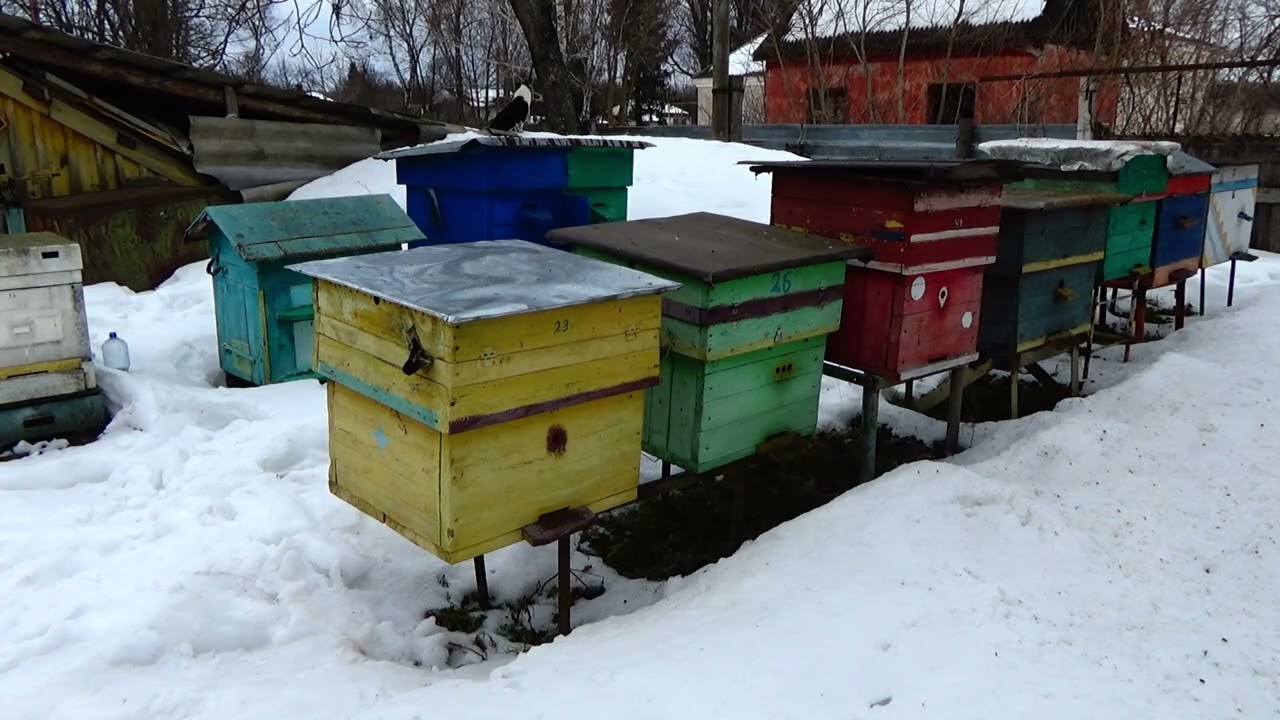 ЯК ВРЯТУВАТИ СЛАБКУ СІМ'Ю ВЕСНОЮ?