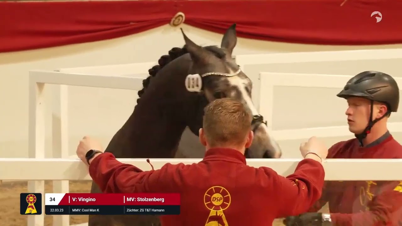 Lot 34 v. Vingino / Stolzenberg