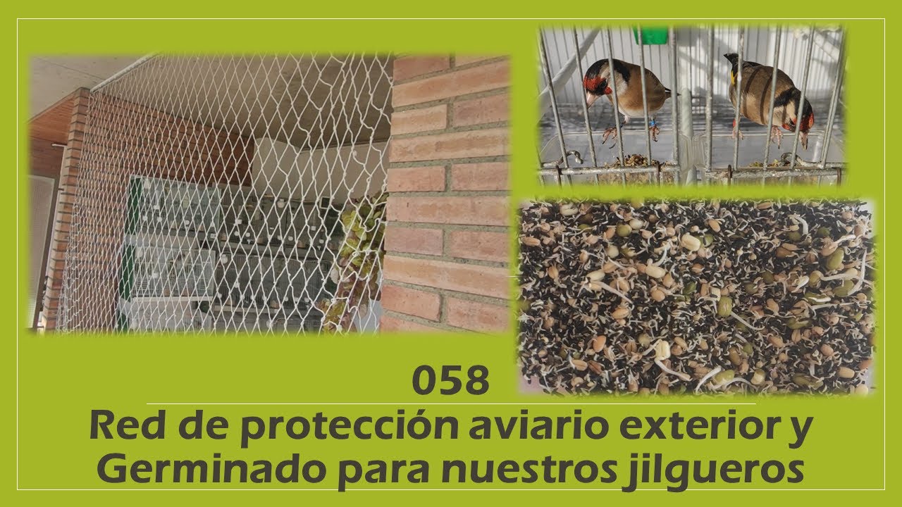 058 RED DE PROTECCIÓN PARA AVIARIO DE EXTERIOR Y PASTA CON GERMINADO