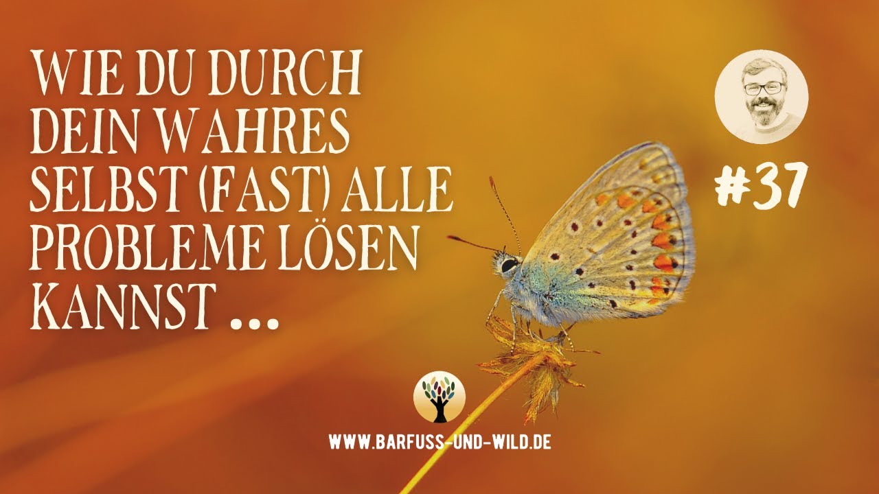 #37 - Wie Du durch Dein wahres Selbst (fast) alle Probleme lösen kannst …