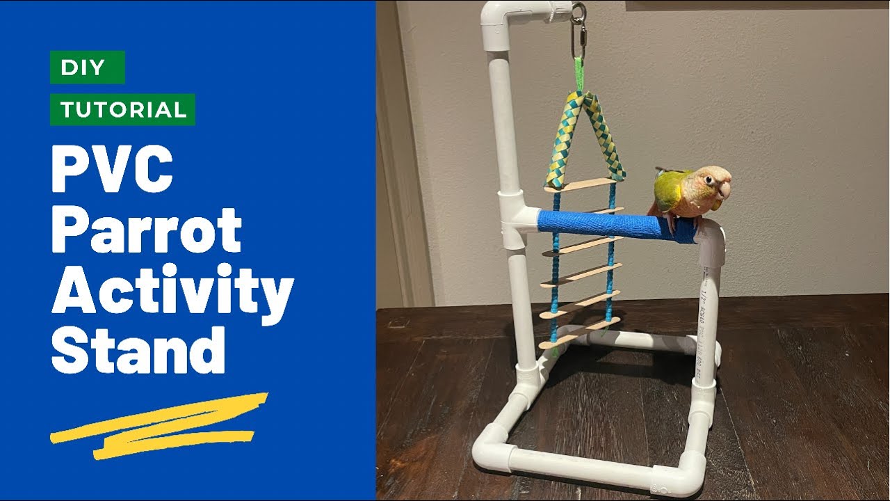 PVC Parrot Activity Stand