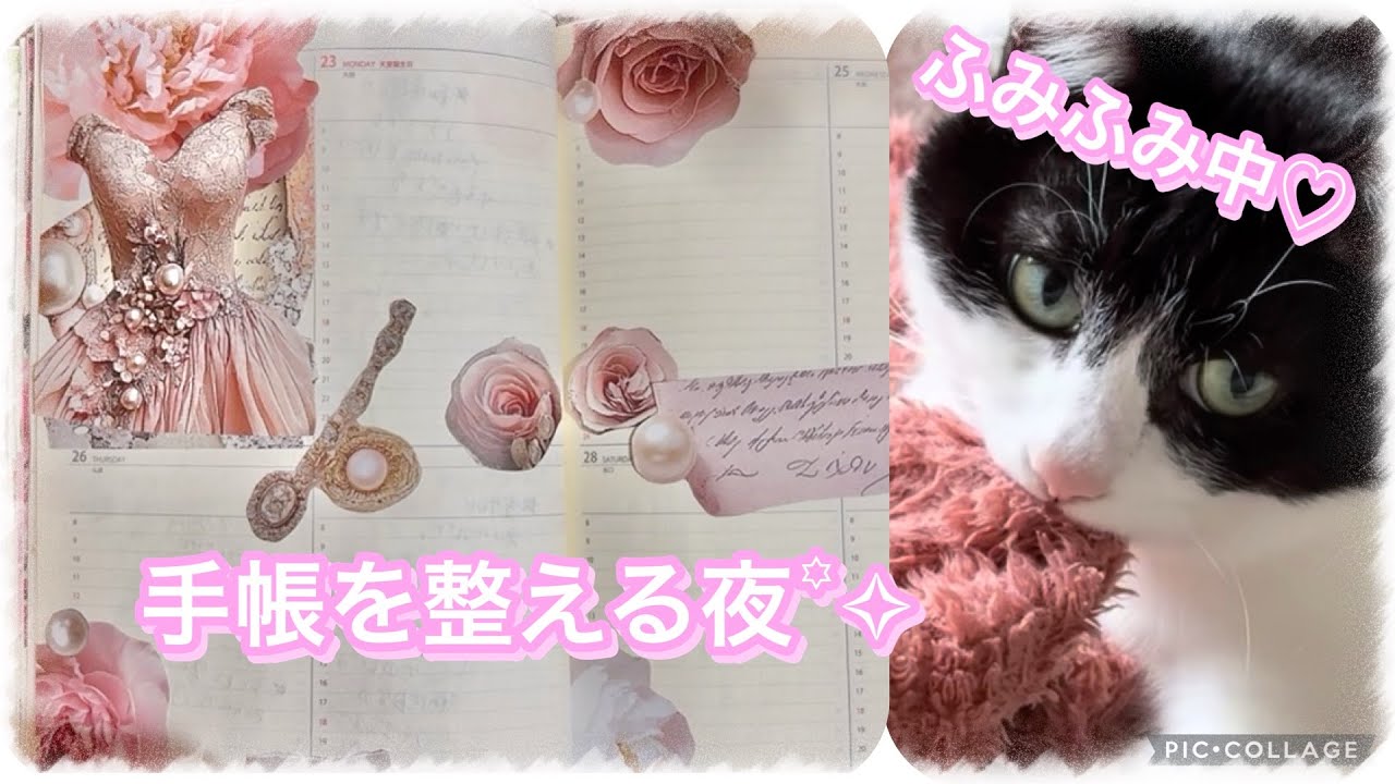 手帳セットアップ📓✨猫の話をしながらゆっくり準備する夜꙳✧ #手帳　#コラージュ