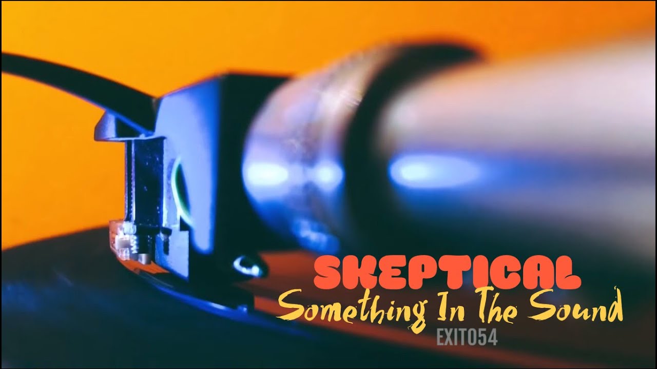Skeptical - Something In The Sound