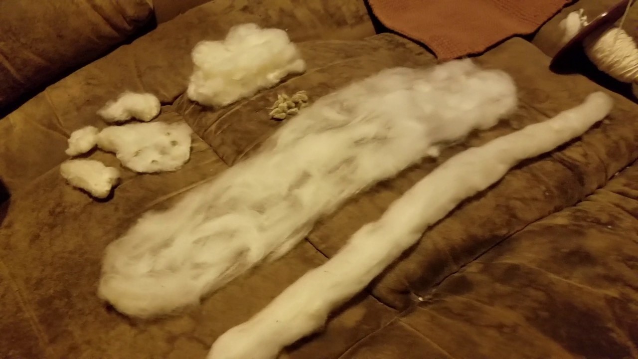 How I process cotton entirely by hand!