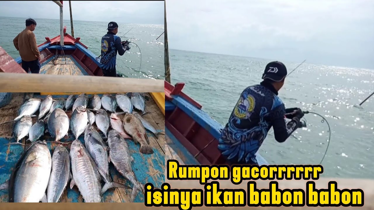 REEL DIBUAT MENJERIT !! akibat tarikan sang predator tanjung lesung