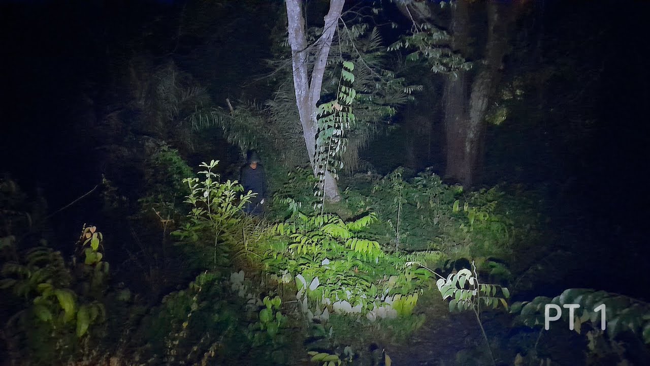 APARECEU UM HOMEM DE PRETO ENCAPUZADO NA LENDA DA ÁRVORE ASSOMBRADA_EPISÓDIO 1 (Lendas Sombrias WJ)