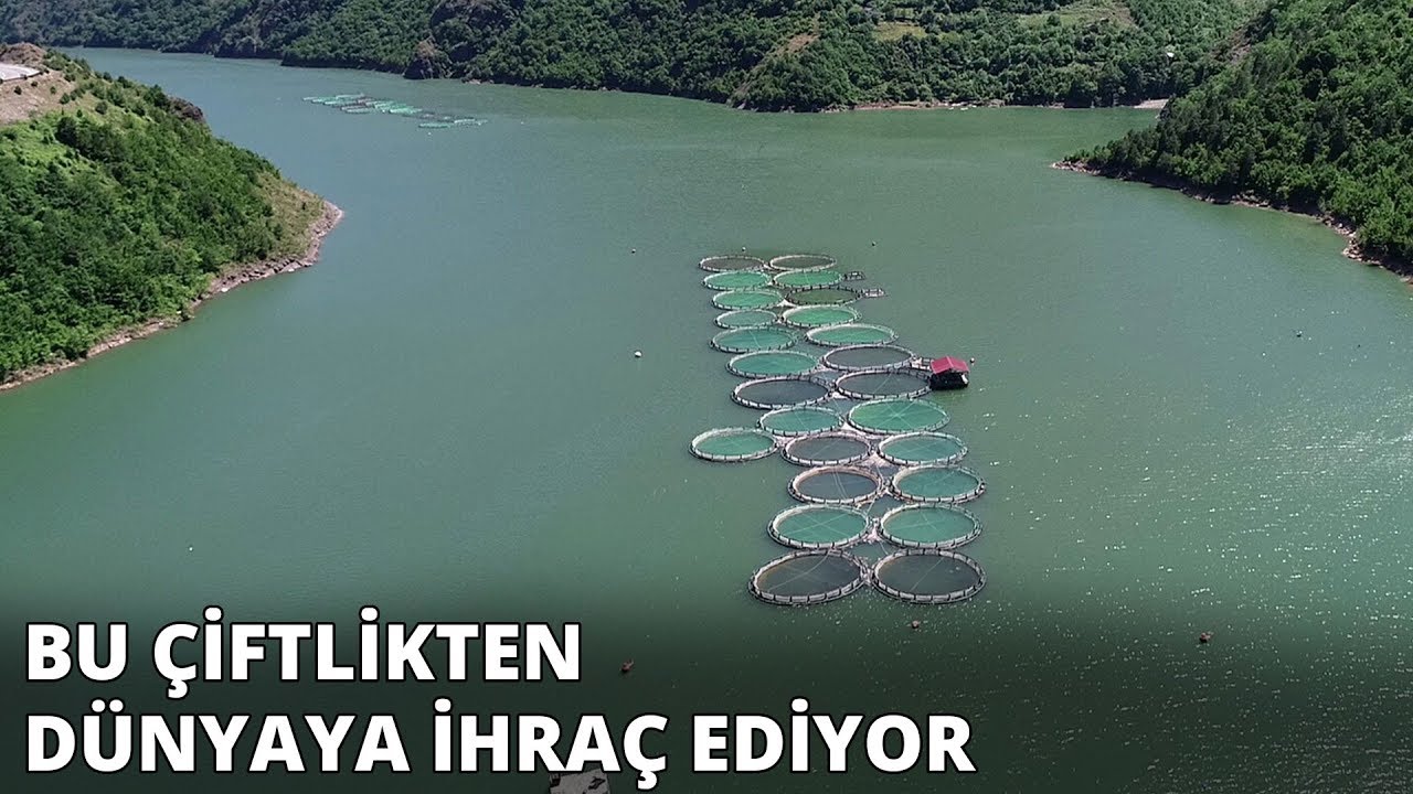 Baraj gölünde ürettiği somonları dünyaya ihraç ediyor