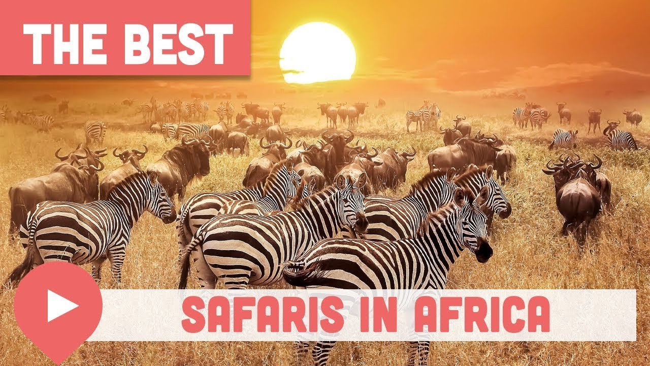 Best Safaris in Africa (Tours and Parks)