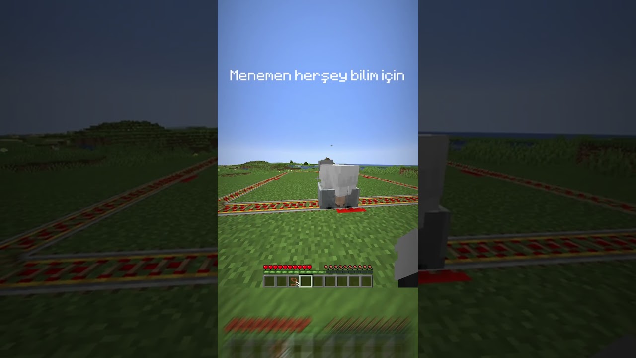 İlk uzaya &ccedil;ıkan koyun. #minecraft #memes #fyp