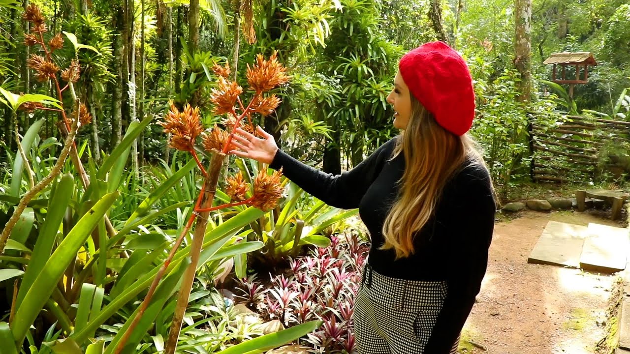 Paraíso das bromélias: mais de quatro mil plantas cultivadas no meio da cidade!