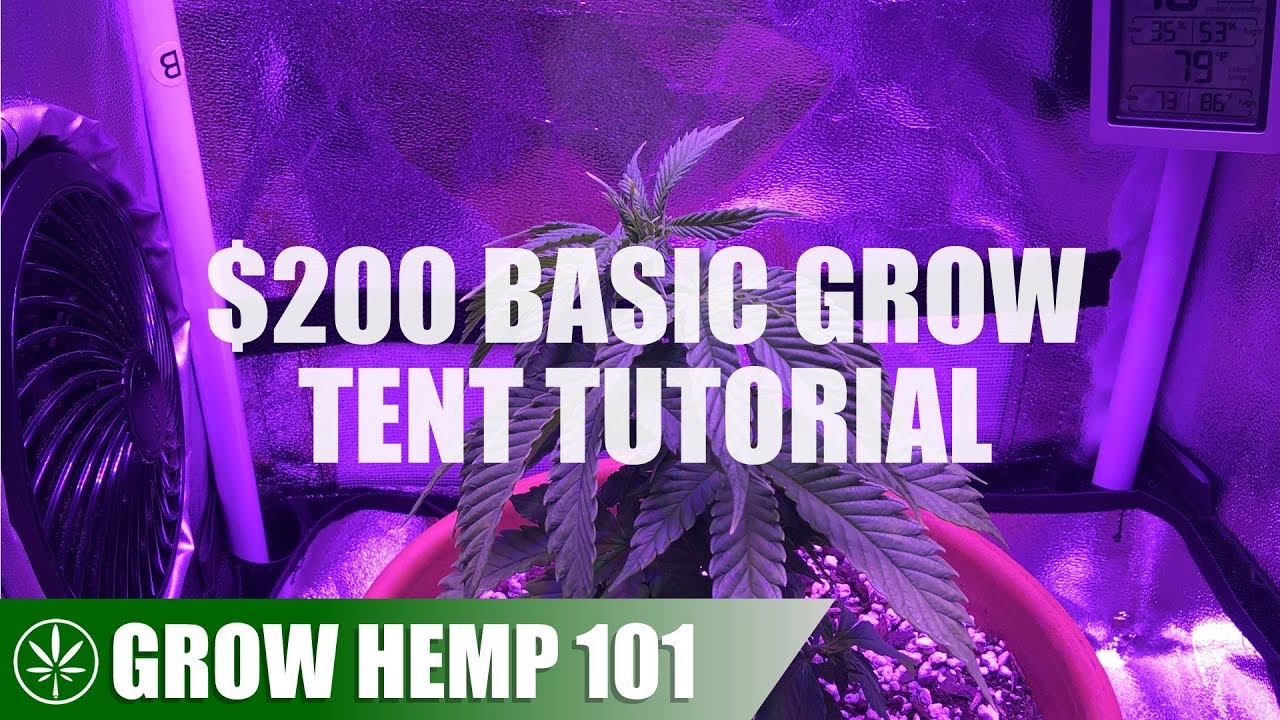 Basic Grow Tent & Indoor Timelapse Grow Tutorial