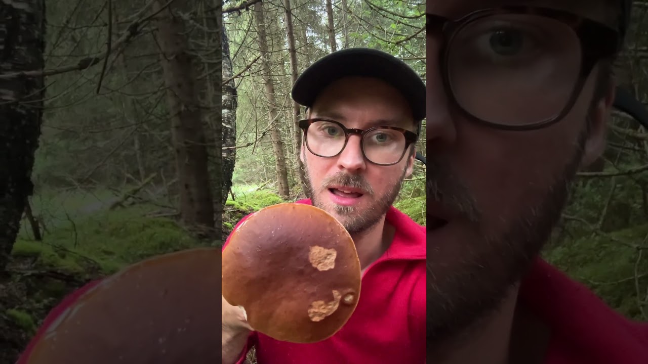Abonner hvis du bor i norge🇳🇴🇳🇴🇳🇴🇳🇴🇳🇴🍄🍄🍄🍄🍄🍄🍄🍄🍄🍄🍄🍄#steinsopp #sopptur #sanking