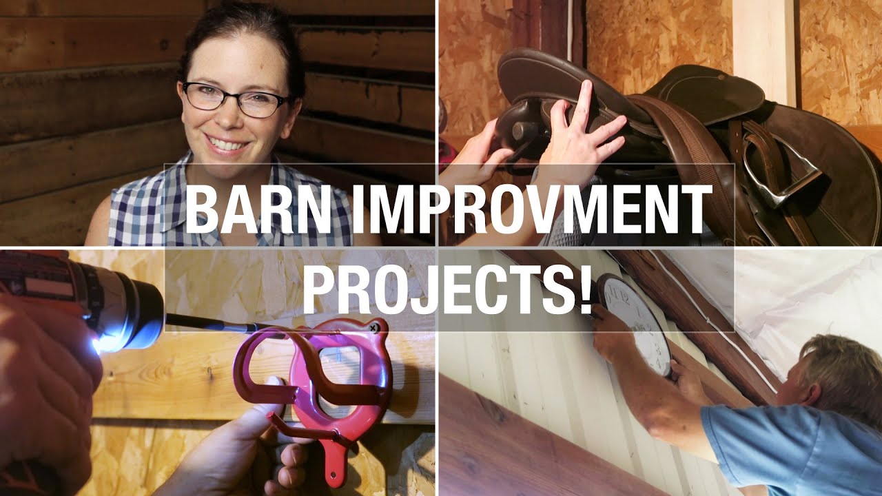 Tack Room and Barn Improvements