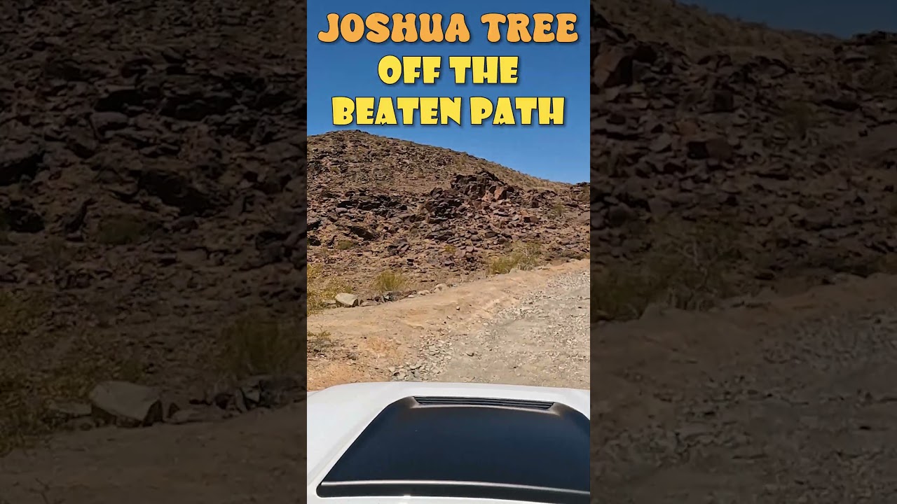 Exploring Joshua Tree's Wild Heart: Offroad Adventure on Old Dale Road