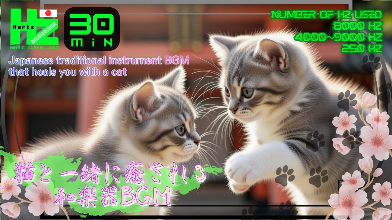 【Hz Music Japan Labo】猫と一緒に癒される和楽器BGM30分30 Minutes of Japanese Instrument BGM to Relax with Cats