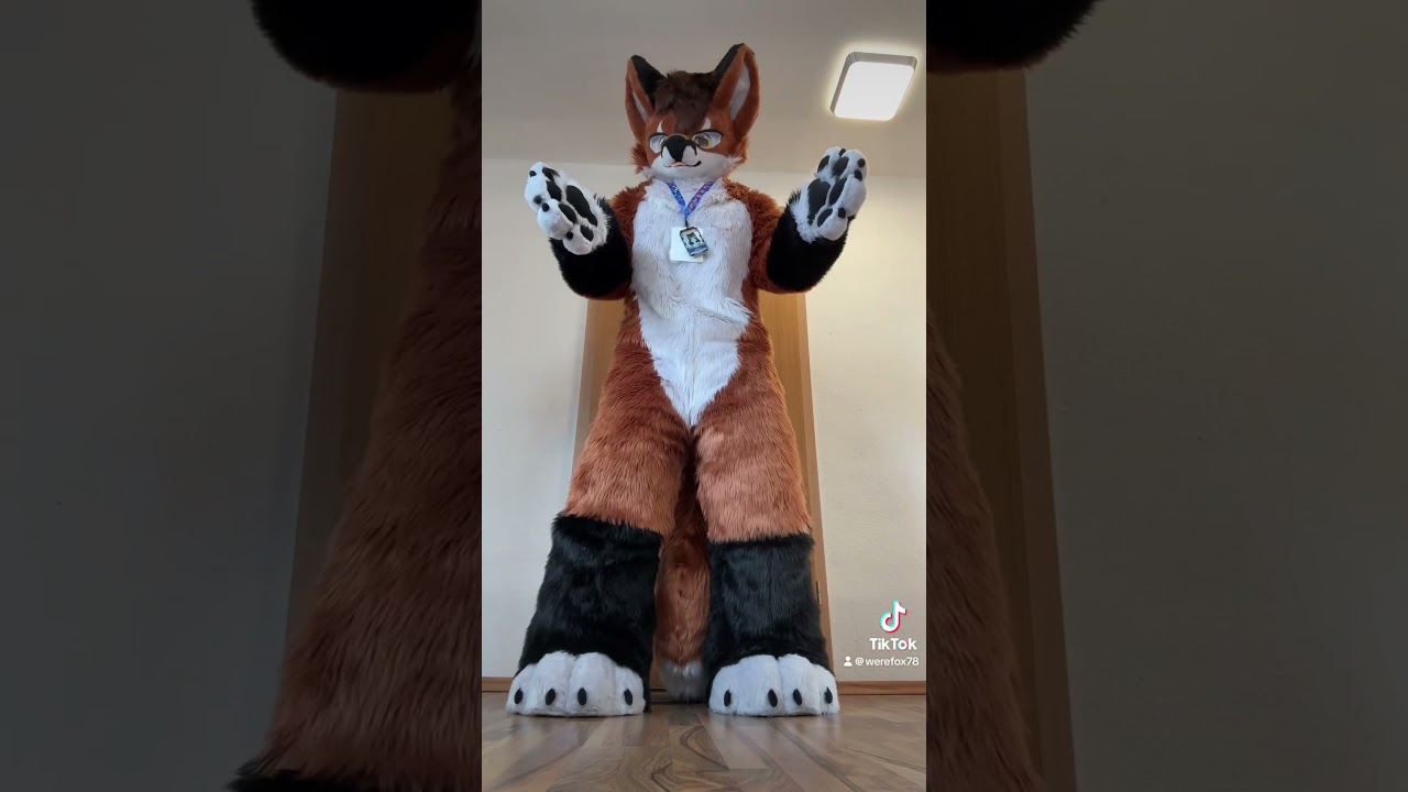 NordicFuzzCon 2026 is over 😭 #nfc2026 #nordicfuzzcon #fursuit #werefoxaries #nfc