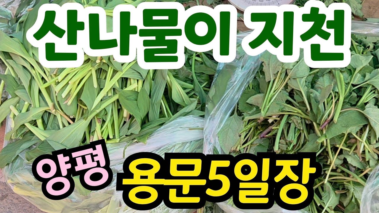 산나물시장으로 변해버린 용문5일장