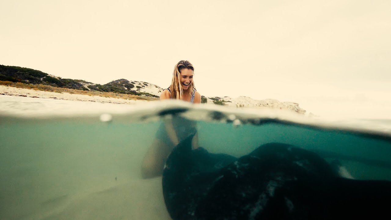 The biggest stingrays in the ocean at Hamelin Bay - Episode 2
