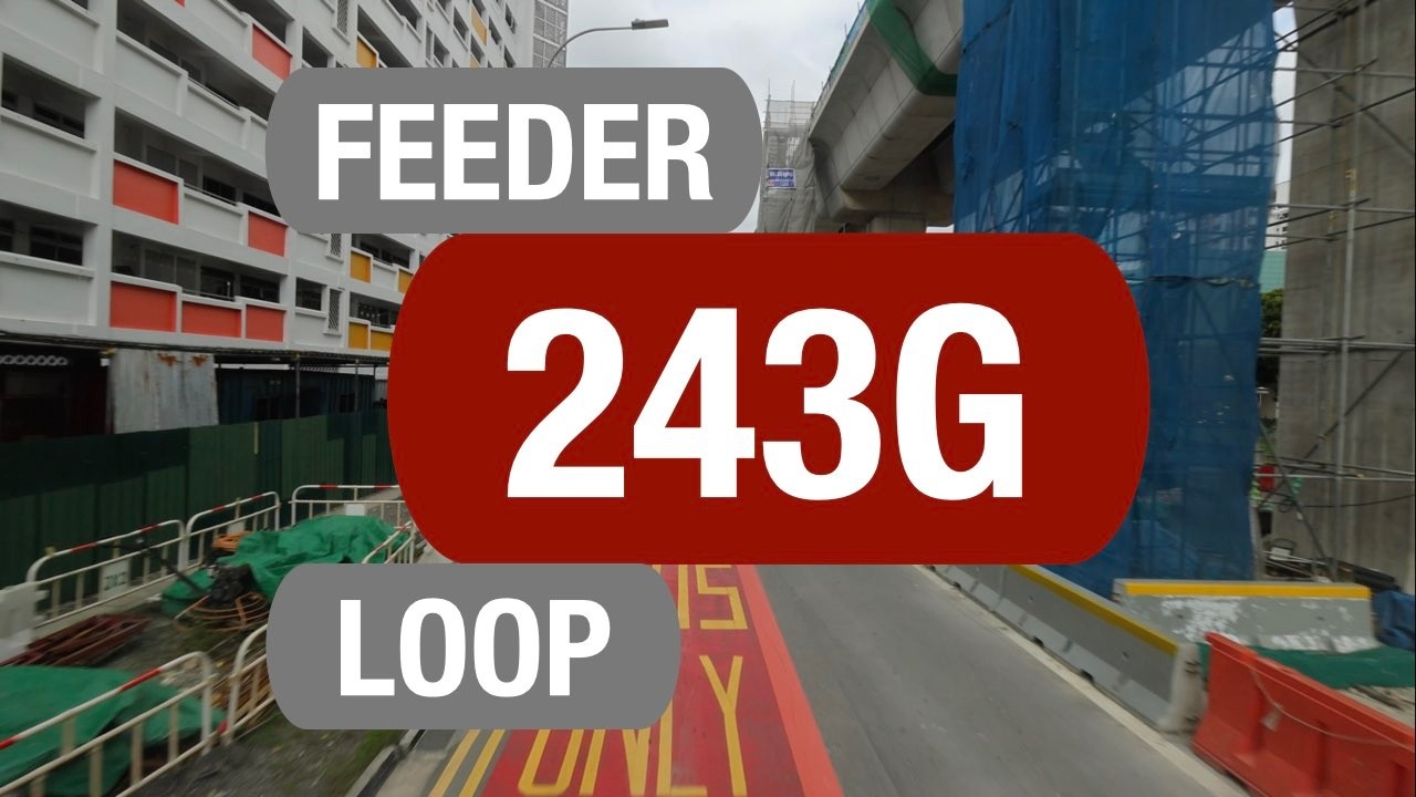 SMRT Buses Feeder 243G (BFTP 2025) | Bus Service Route Visual