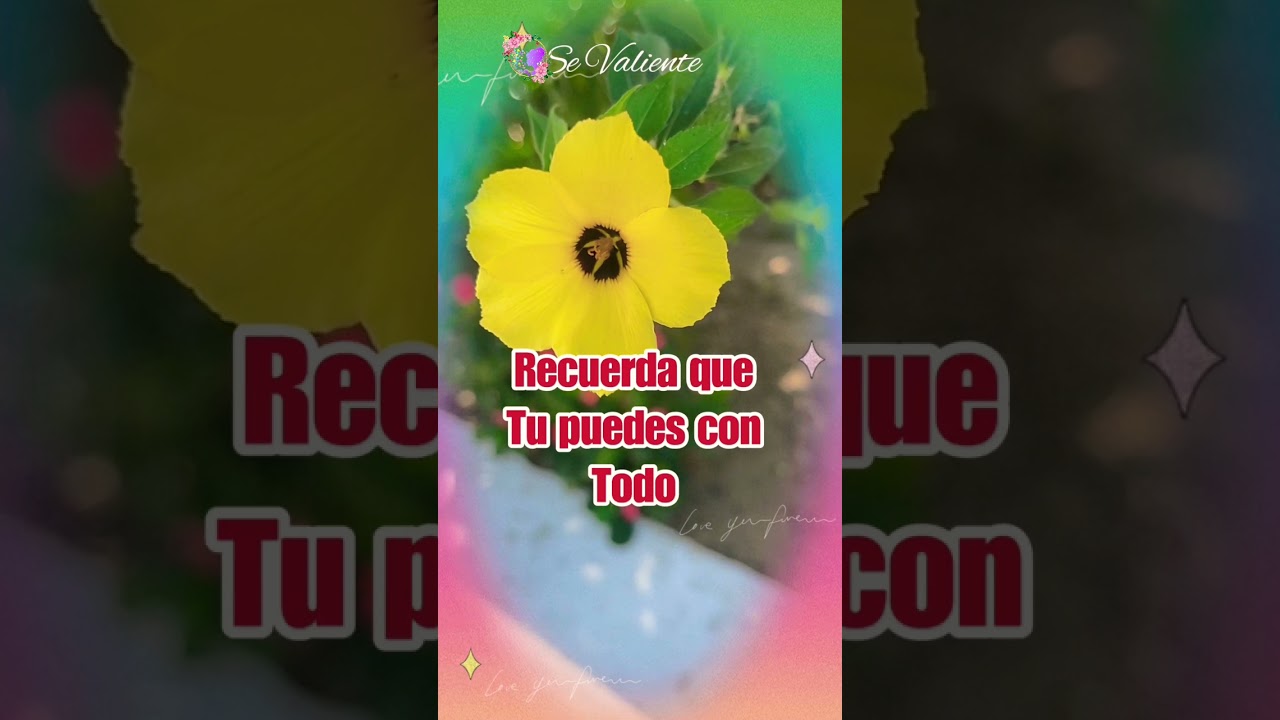 Tu puedes con todo #motivacion #mensajededios