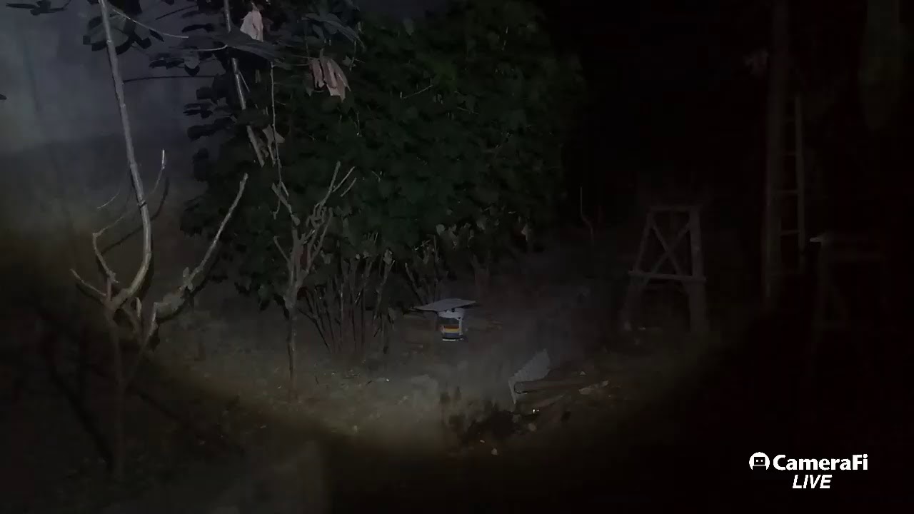 test live cam with ian creator youtube