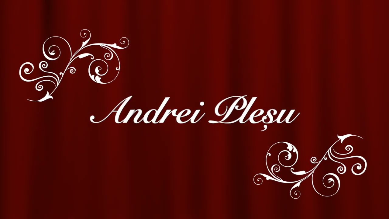 Andrei Plesu - Comedii la Portile Orientului