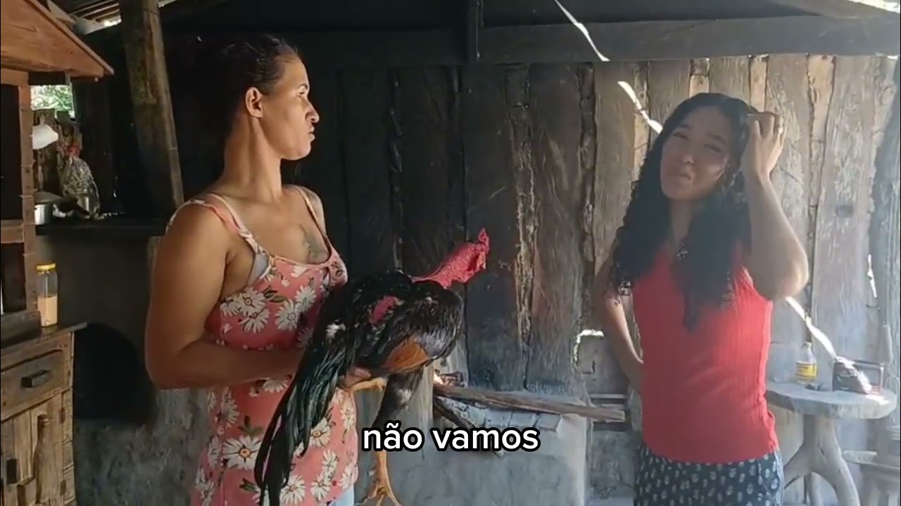 Almoço de domingo não saiu como esperado.🐓🐓🐓#galo #criatoriodeaves #comedy 