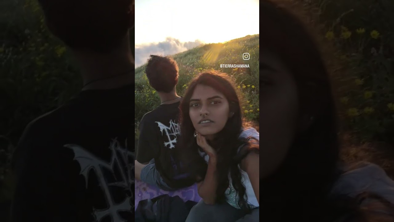 #weedtrip