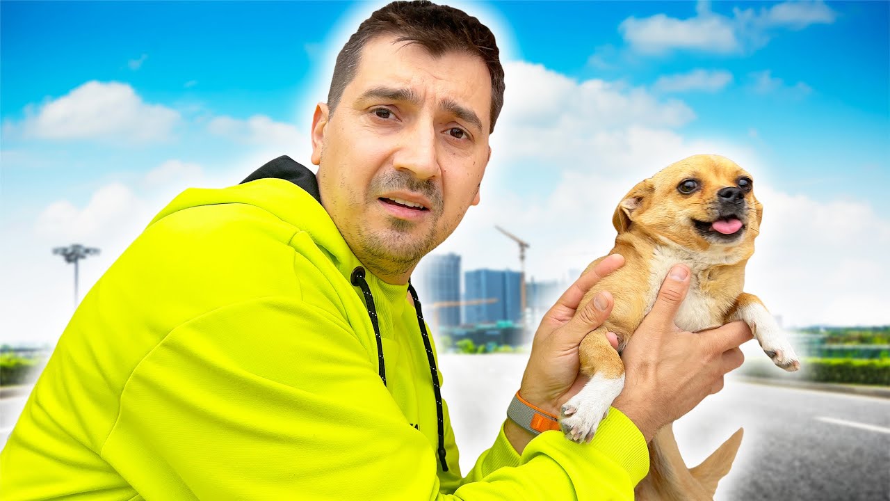 🐕 MIMI a FUGIT de ACASĂ 🏡 TATA a RENUNȚAT să o mai CAUTE 🔎