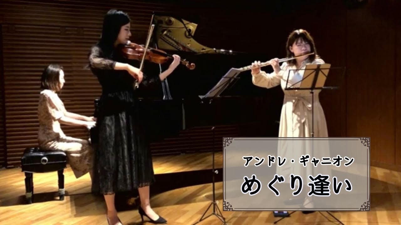 めぐり逢い/アンドレ・ギャニオン
