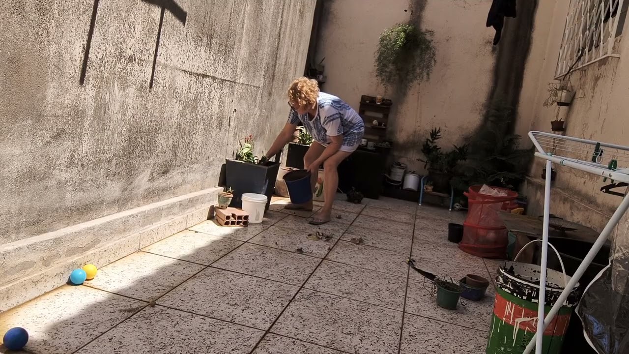 Replantio de várias plantas em um só vaso