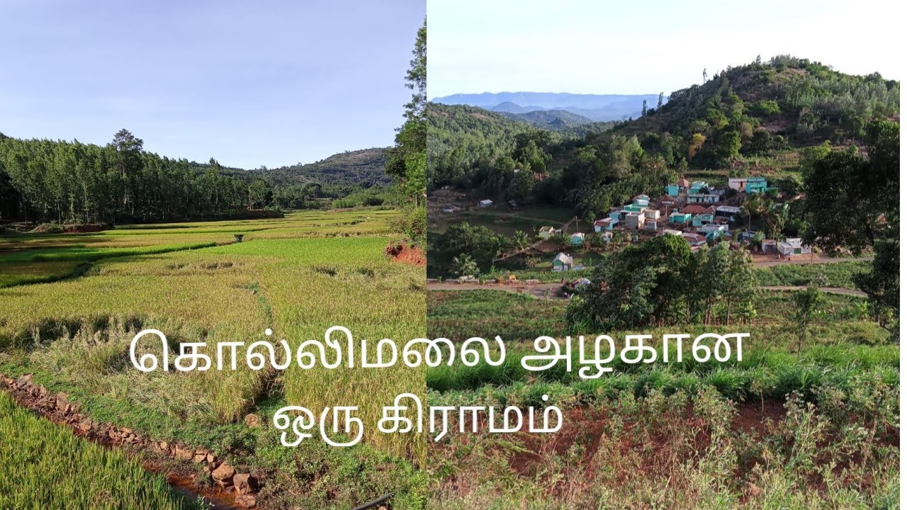 கொல்லிமலை அழகான கிராமம்/Kolli hills village/Kolli Malai Vanamagan/