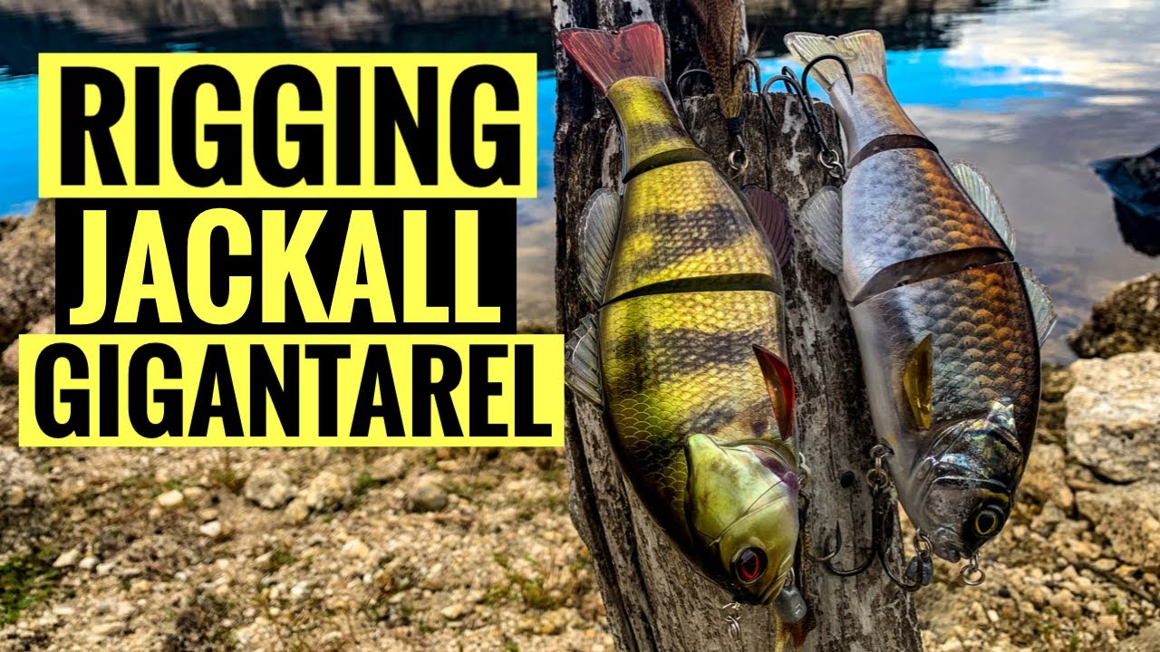 How To Rig Jackall Gigantarel / Swimbaits  For Copeton Cod