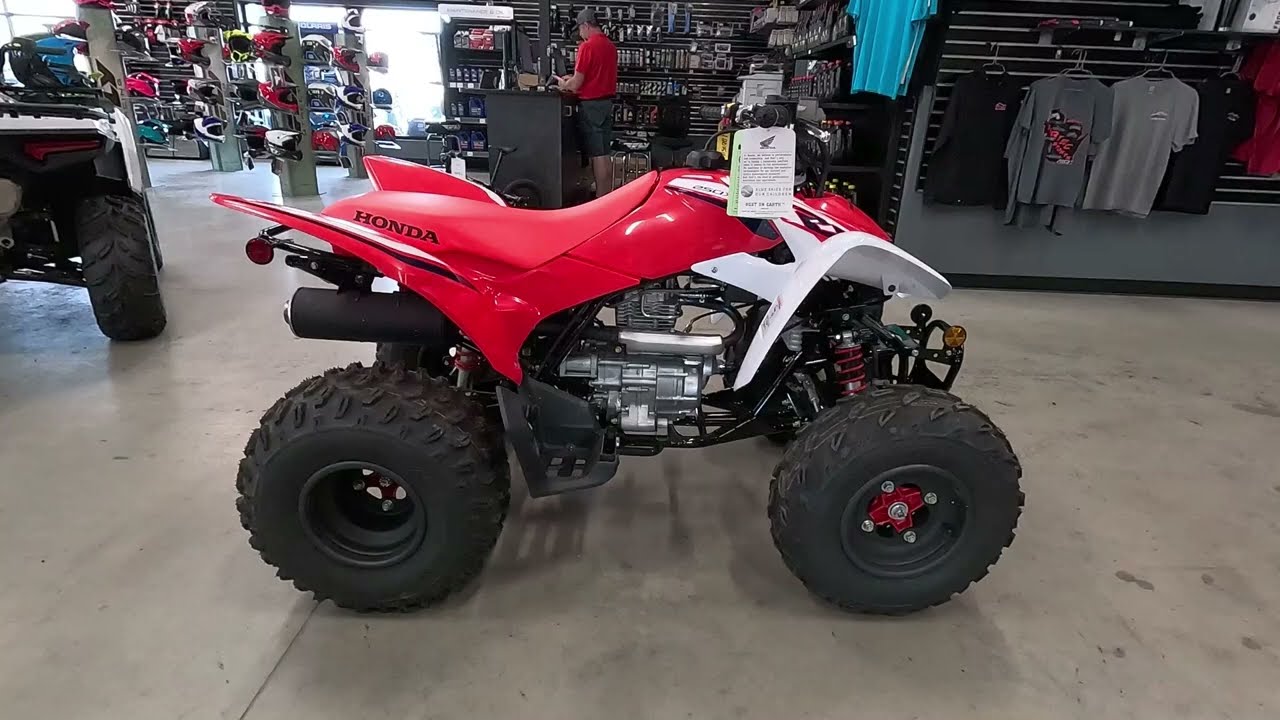 New 2023 Honda TRX250X ATV For Sale In Rice Lake, WI