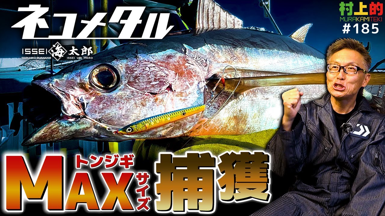 【村上的】#185 大歓喜!! ネコメタルで巨大マグロ捕獲!!!【トンジギ】