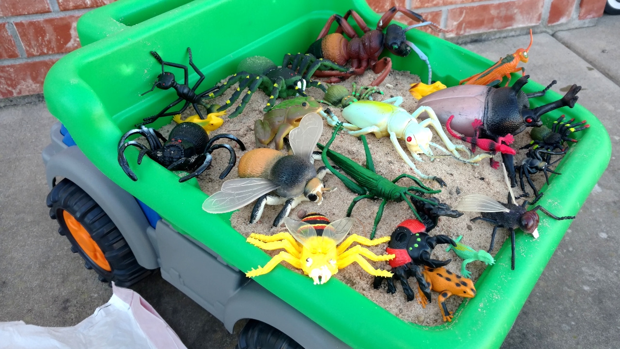 All Types Of Creepy Bugs Toys And Sounds/Frogs/learn Insects - Scary Bugs Creepy Spiders Kids toys