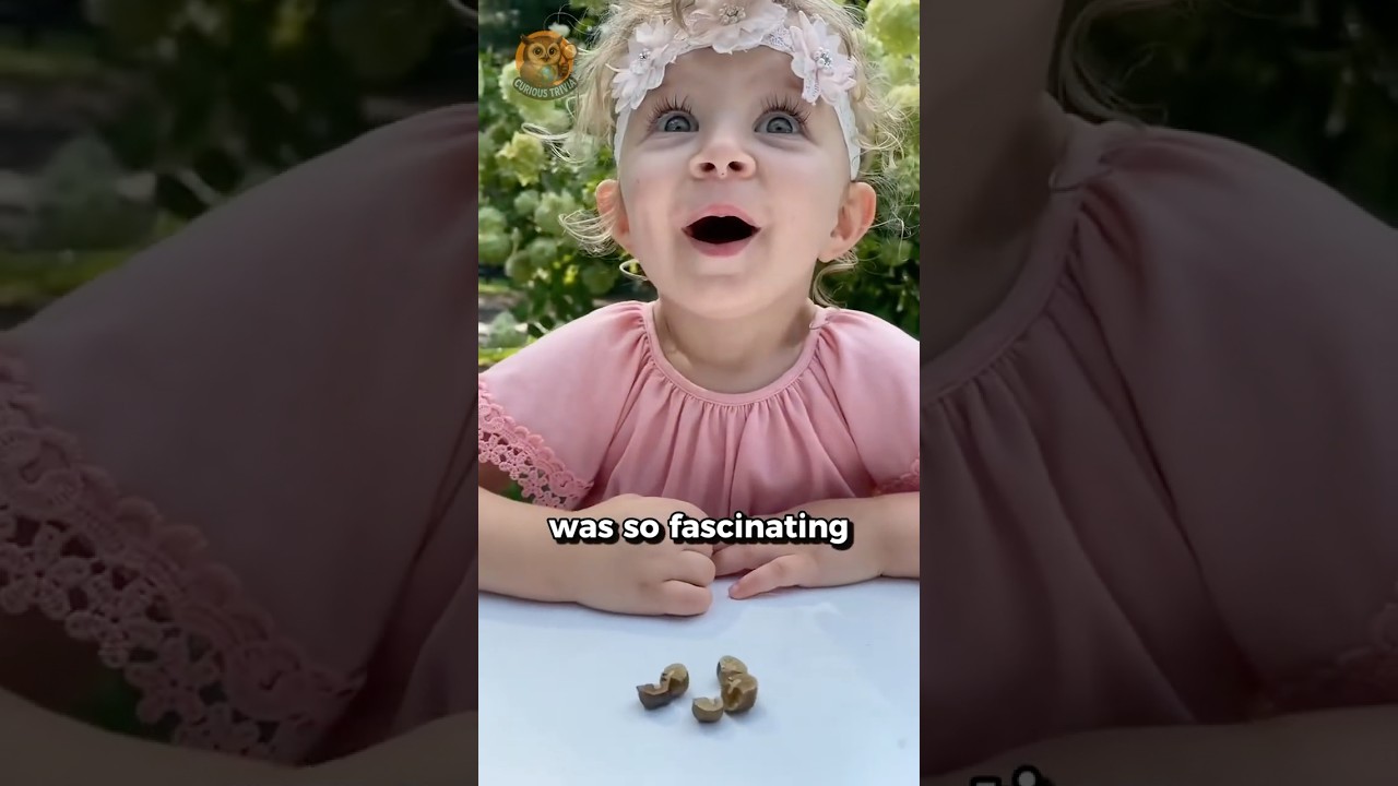 Why Mexican Jumping Beans Jump?