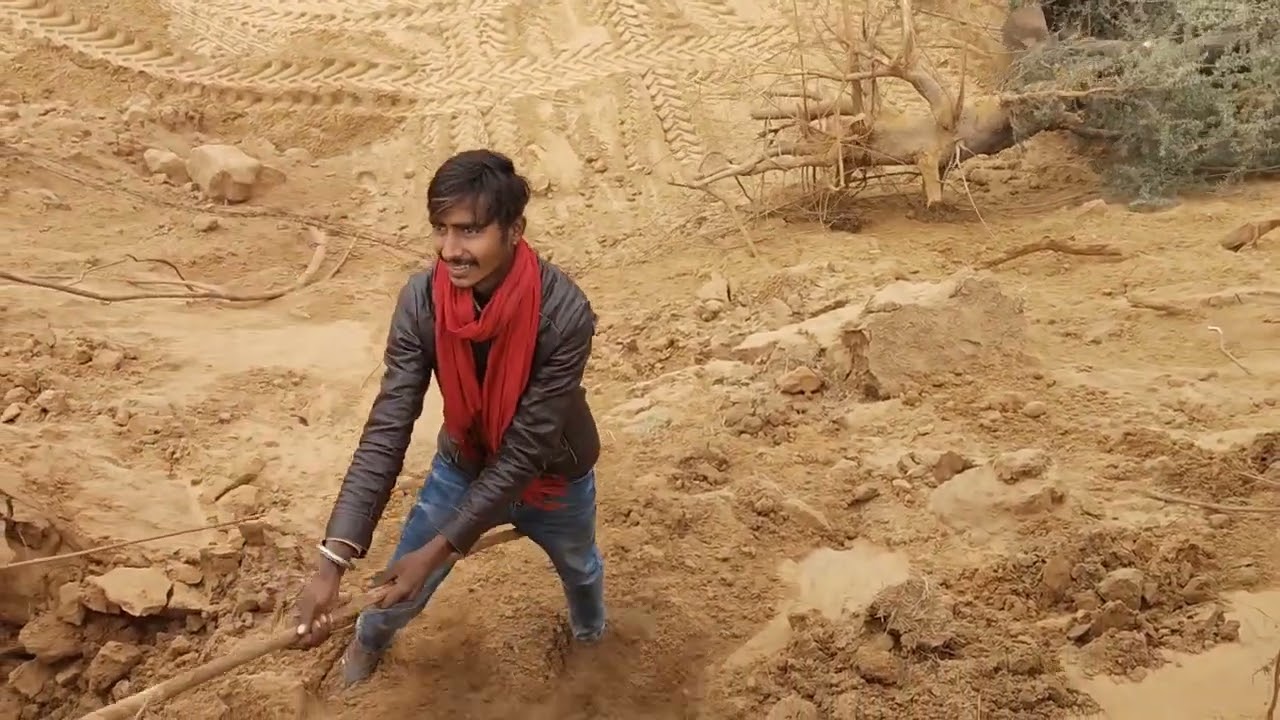 John Deere loader 5310  //मिट्टी की ट्रॉली भरते हुए //कांटेक्ट नंबर रेलिंग भराव हेतु सम्पर्क comant,