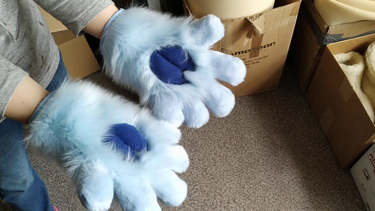 new paws