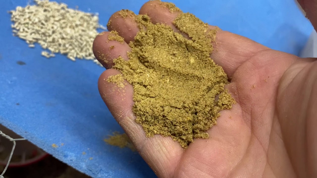 How to make a high protein chicken and quail feed cheap