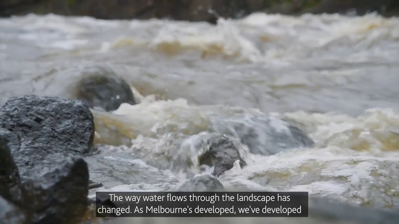 Water for the environment