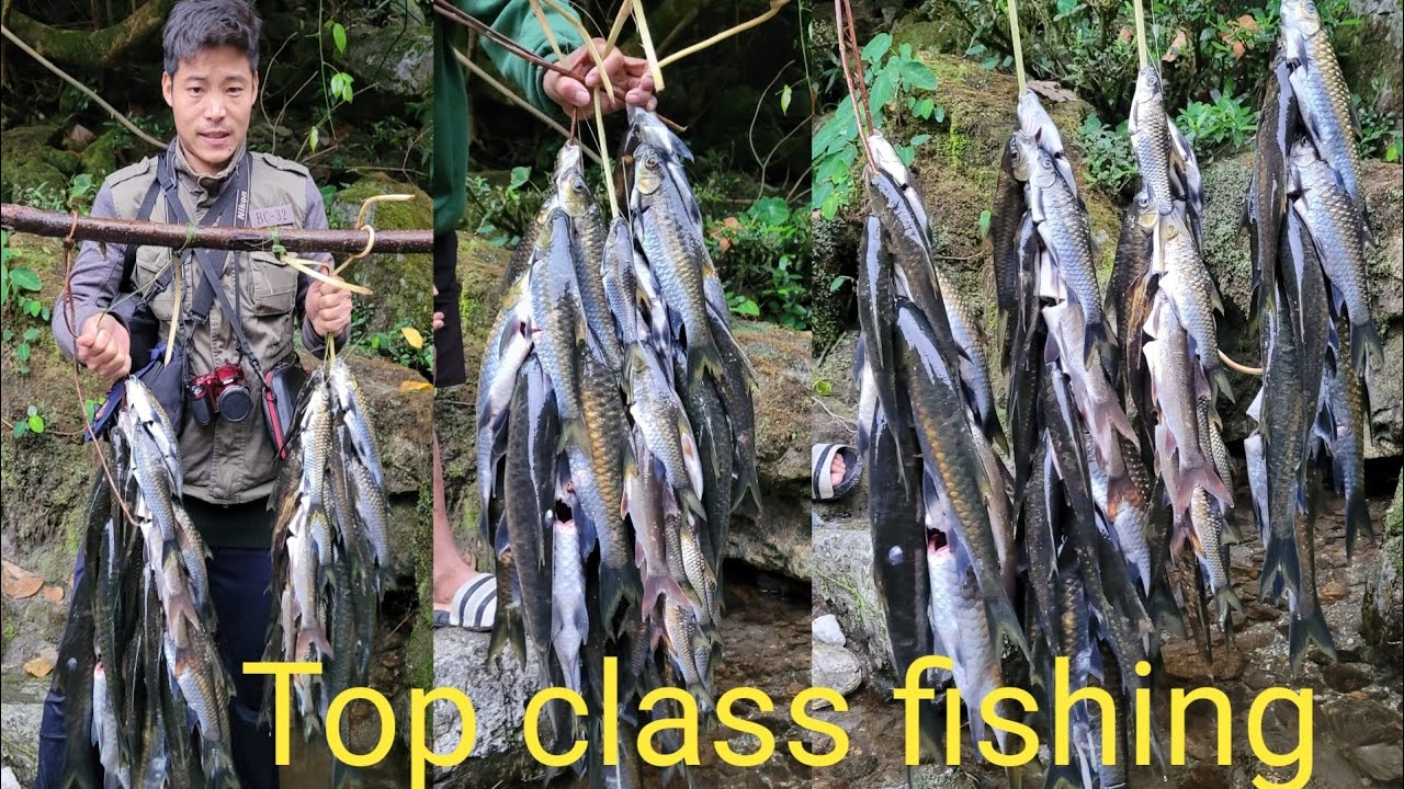 classic🐬 fishing|FishingTechniques|Himalayan fishing|Northeastfishing|Arunachalfishing|@paboallin1