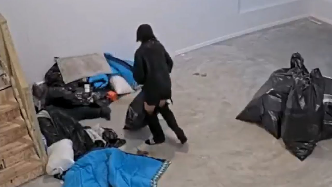 Josie finds Chip's body in the trash - FishTank.live