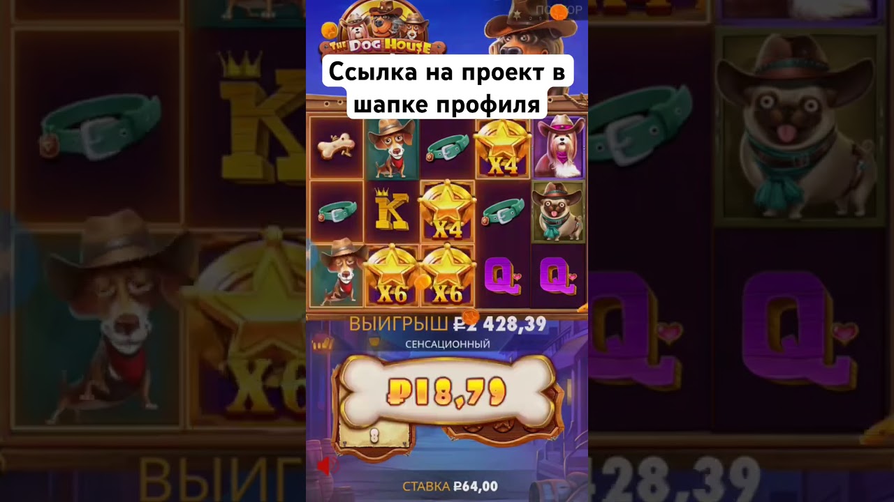 Ссылка в шапке профиля 