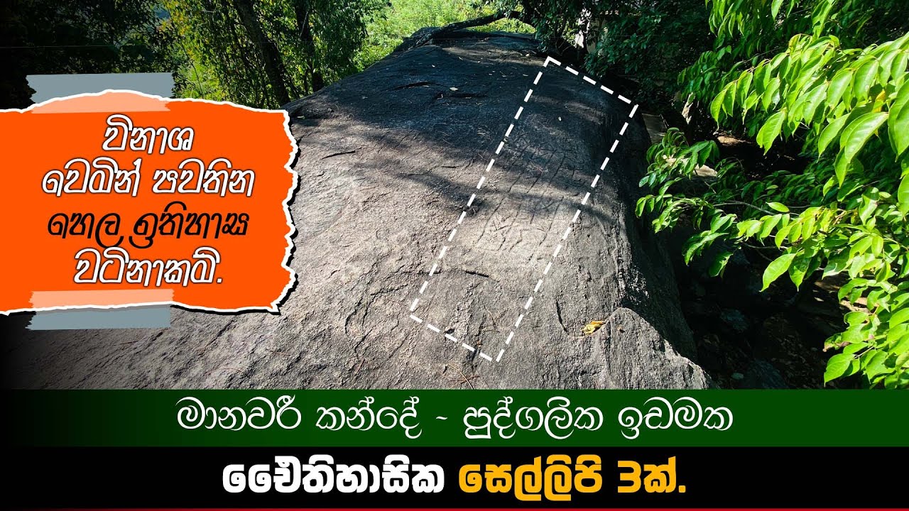 සෙල්ලිපි 3ක් සහිත ගල් පර්වතයක් මානවරීකන්ද පුද්ගලික වතුයායක ආනාරක්ෂිතව ⚠️| Inscriptions in Sri Lanka