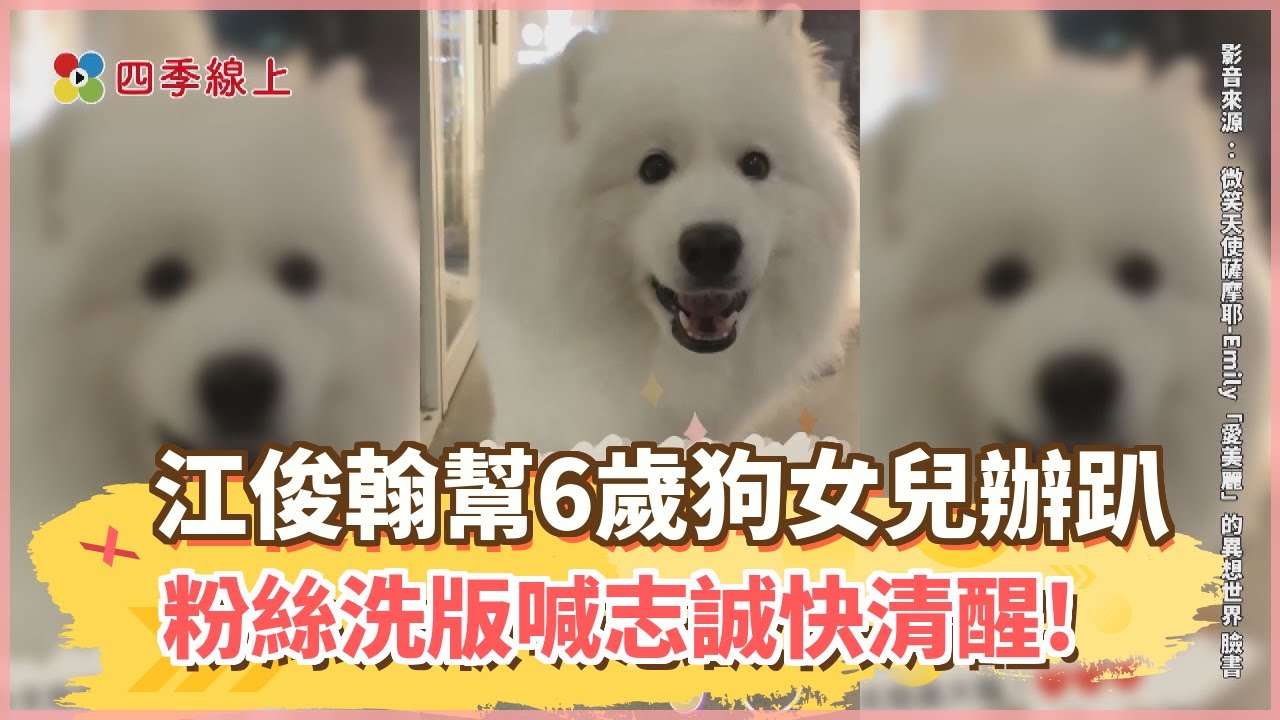 《多情城市》江俊翰幫6歲狗女兒愛美麗辦趴 粉絲洗版喊志誠快清醒!