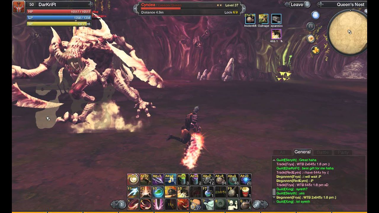 Raiderz Berserker lvl 50 Cyndea Solo