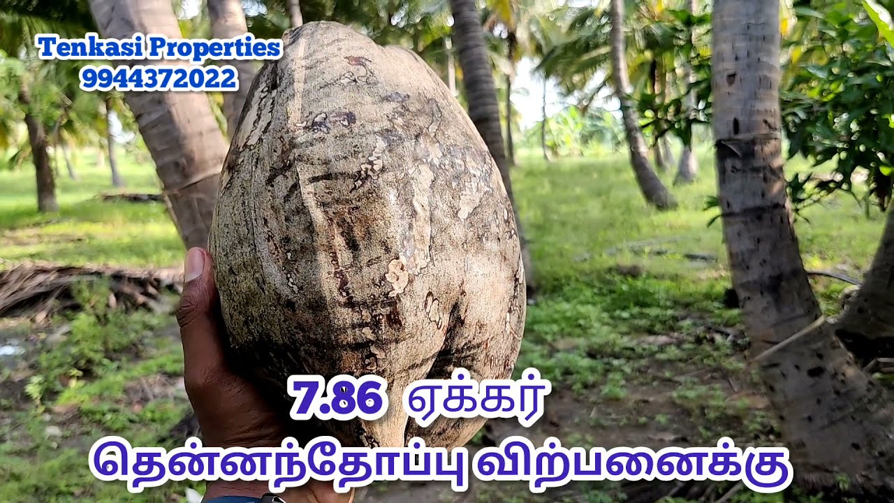 குறைந்த விலையில் தென்னந்தோப்பு விற்பனைக்கு 15 லட்சம் ஏக்கர் Coconut Farm Sales